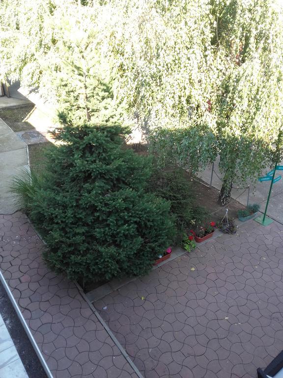 Stefan Plus Lodging Belgrad Dış mekan fotoğraf