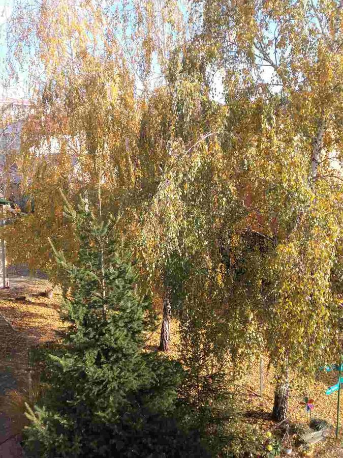 Stefan Plus Lodging Belgrad Dış mekan fotoğraf